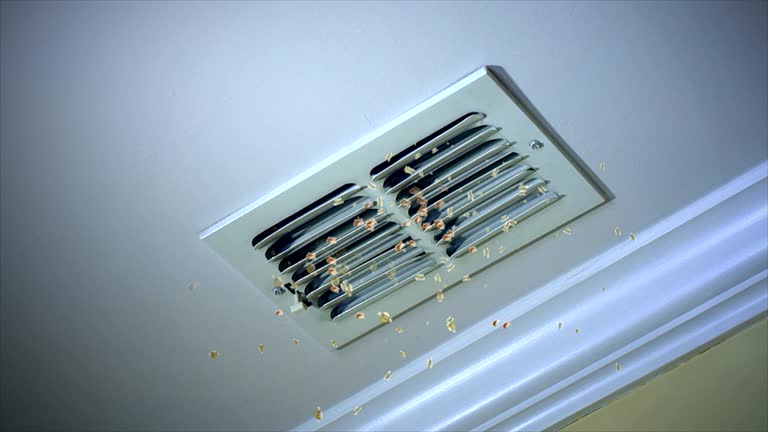 Best Best Air Duct Cleaning Company  in Brundidge, AL
